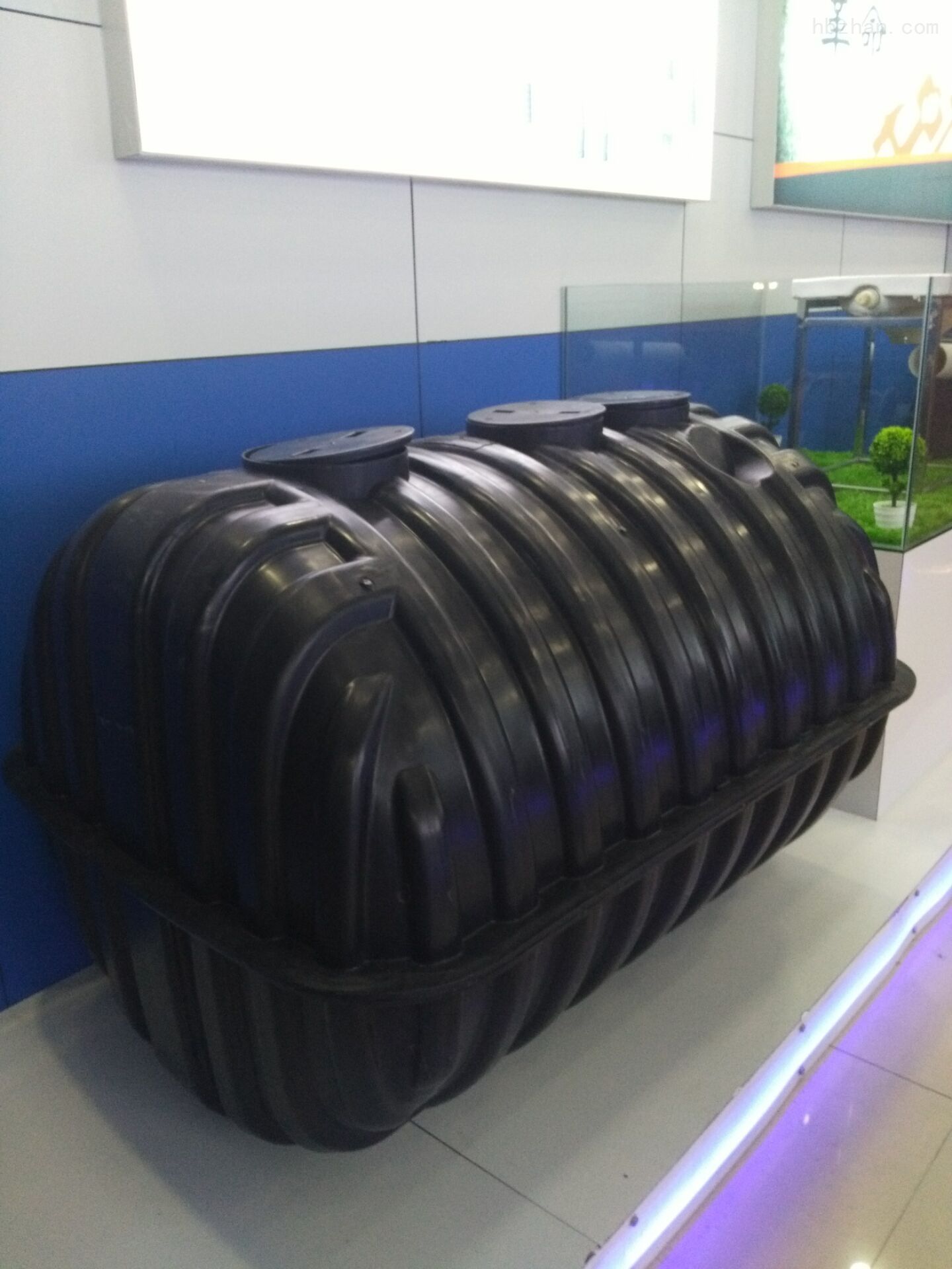 ģ�����S��